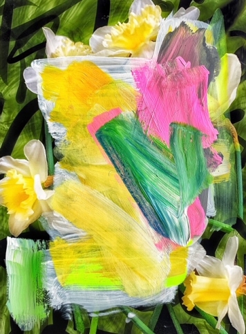Photograph of daffodil painted over with wide, brightly-coloured brushstrokes by Alexandra Penney