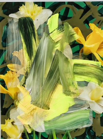 Photograph of daffodils painted over with wide, brightly-coloured brushstrokes by Alexandra Penney